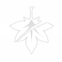 Kazuha Slash Icon