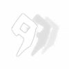 Spring Thunder of Fertility Icon